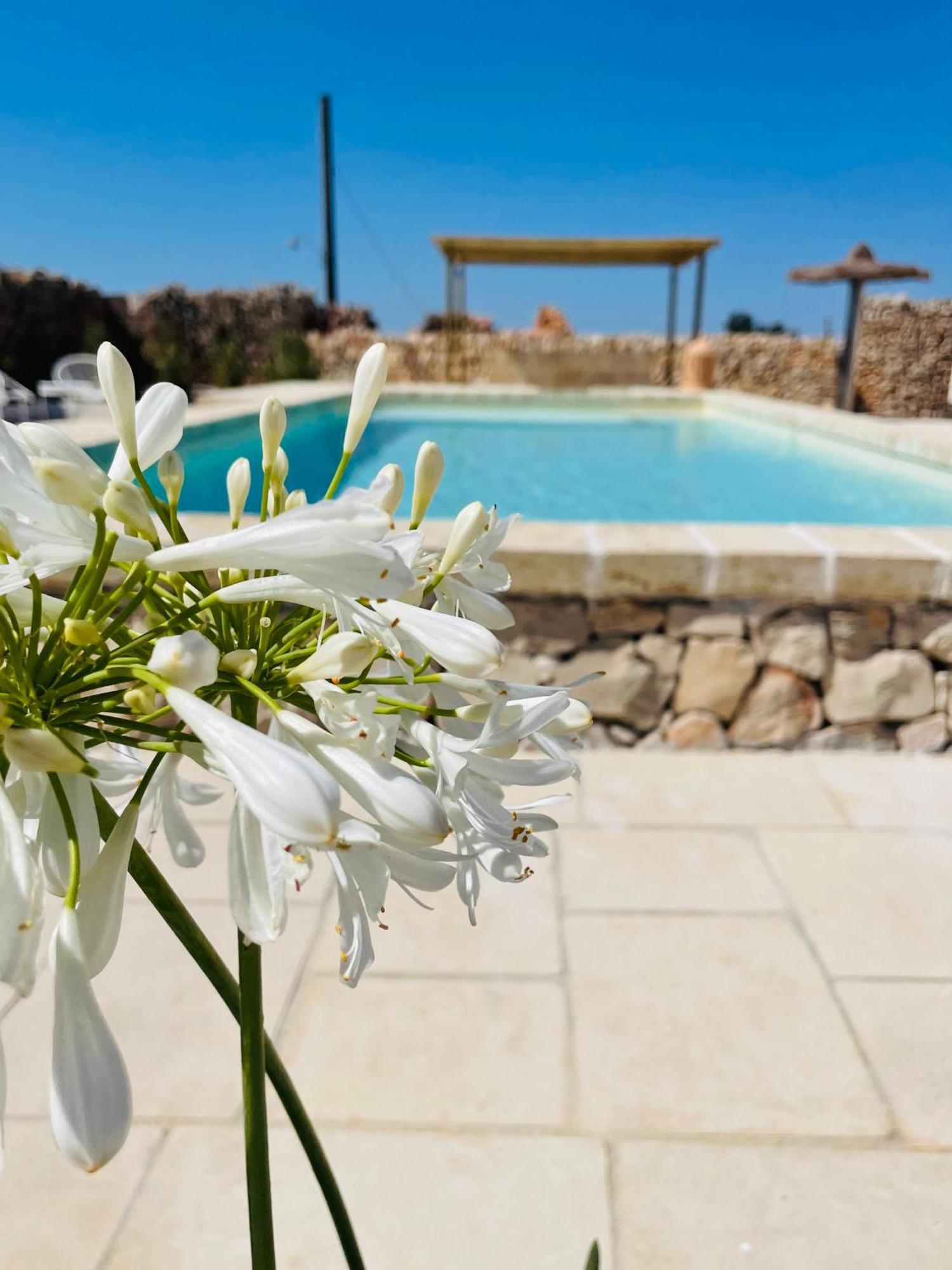 Masseria Voluzzi Copertino Luaran gambar
