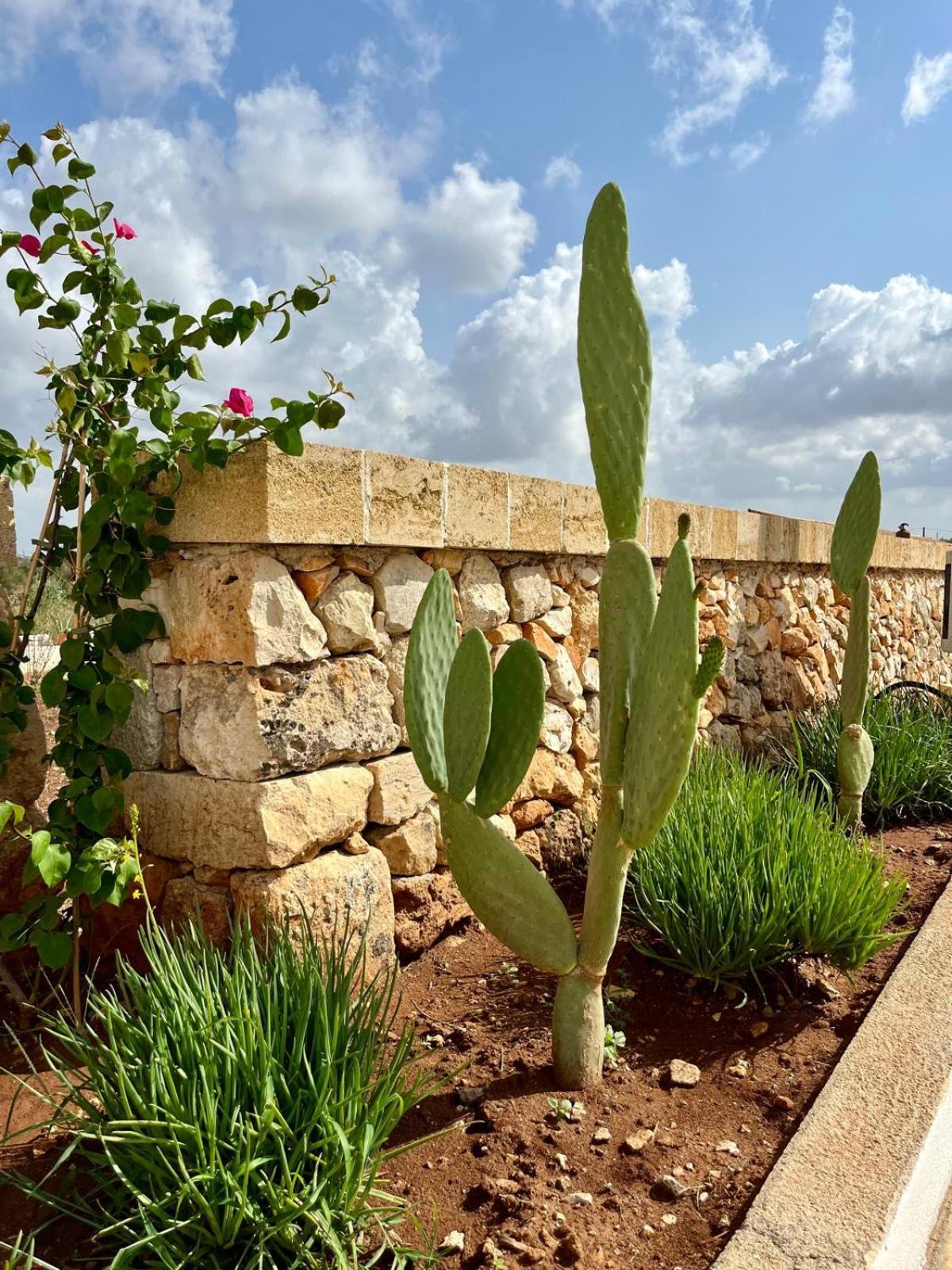 Masseria Voluzzi Copertino Luaran gambar